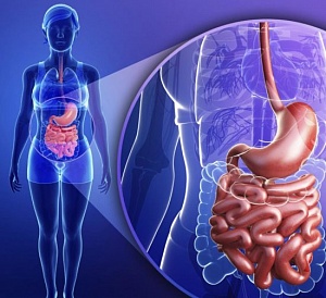 Гастроэнтерология