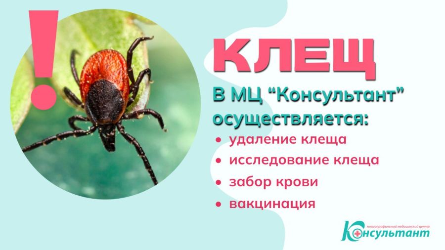 ОСТОРОЖНО, КЛЕЩИ!