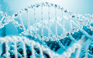 Определение фрагментации ДНК в сперматозоидах методом TUNEL