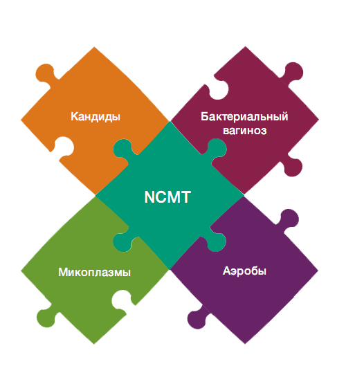 Тест «ФЛОРОЦЕНОЗ» и Комплексная оценка условно-патогенной и патогенной (NCMT) микрофлоры