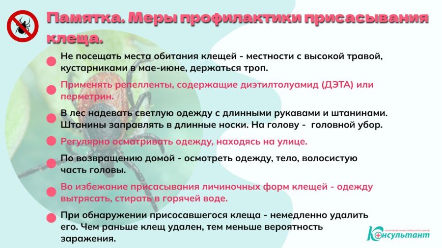ОСТОРОЖНО, КЛЕЩИ!